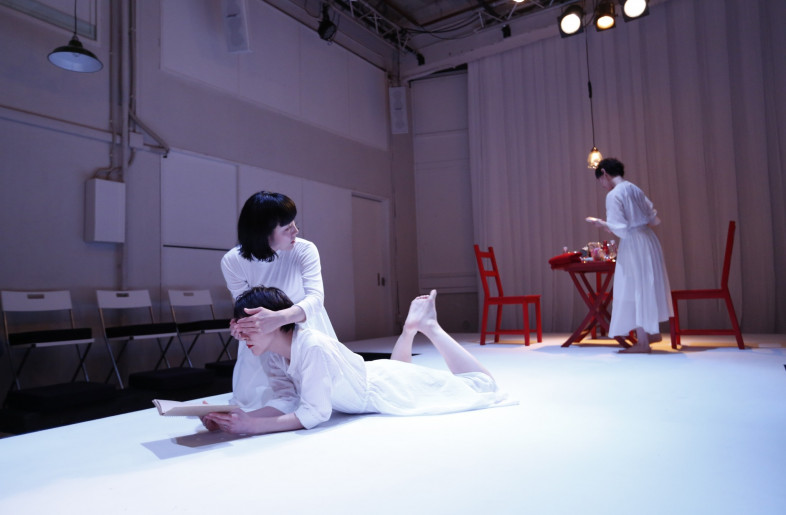 Based on "The Seagull," which, along with "Uncle Vanya," "The Three Sisters," and "The Cherry Orchard," is considered one of Chekhov's four great plays, the film is depicted from the perspective of "Nina," an aspiring actress. - Performance 3 Nina Conference - From the Seagull